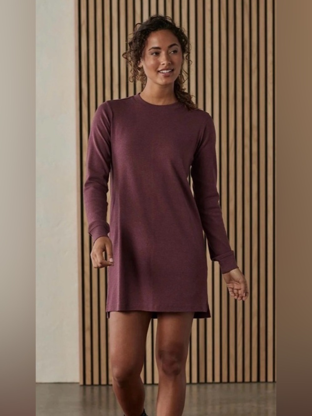 The Normal Brand Puremeso Everyday Dress in Wine NWT Size XS